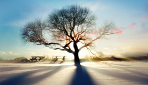 荷兰游泳运动员打破个人最好成绩